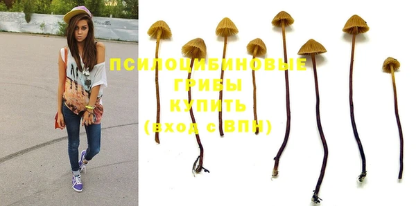 мескалин Сосновый Бор